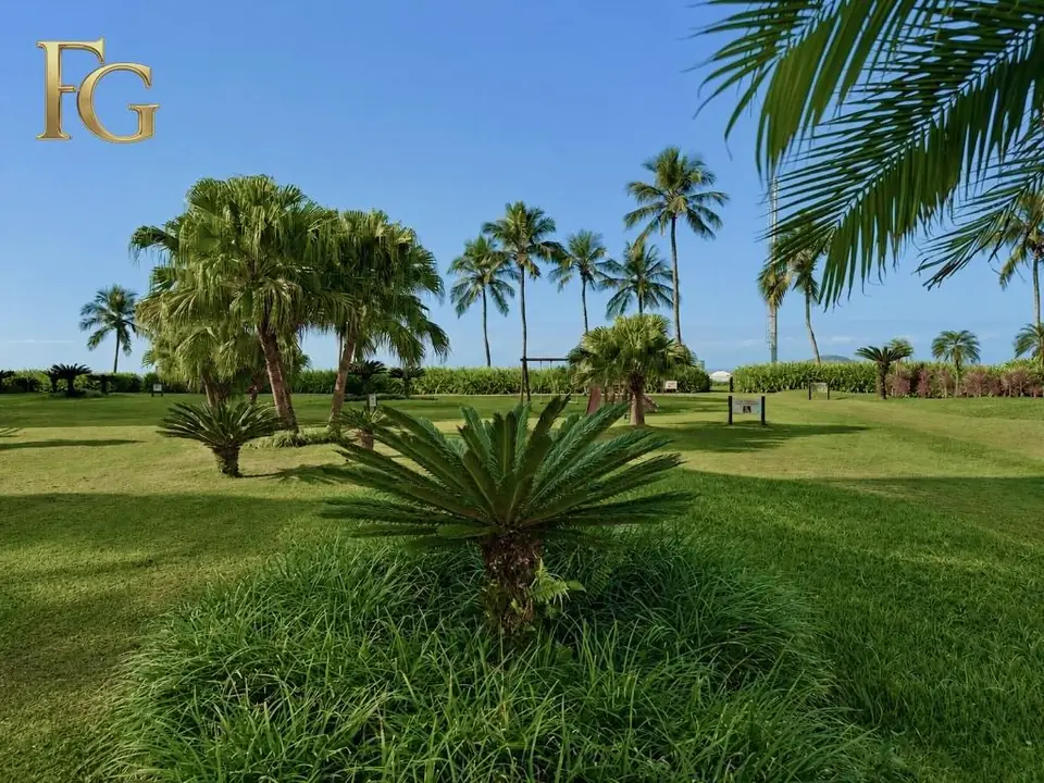 Área verde com coqueiros na Riviera